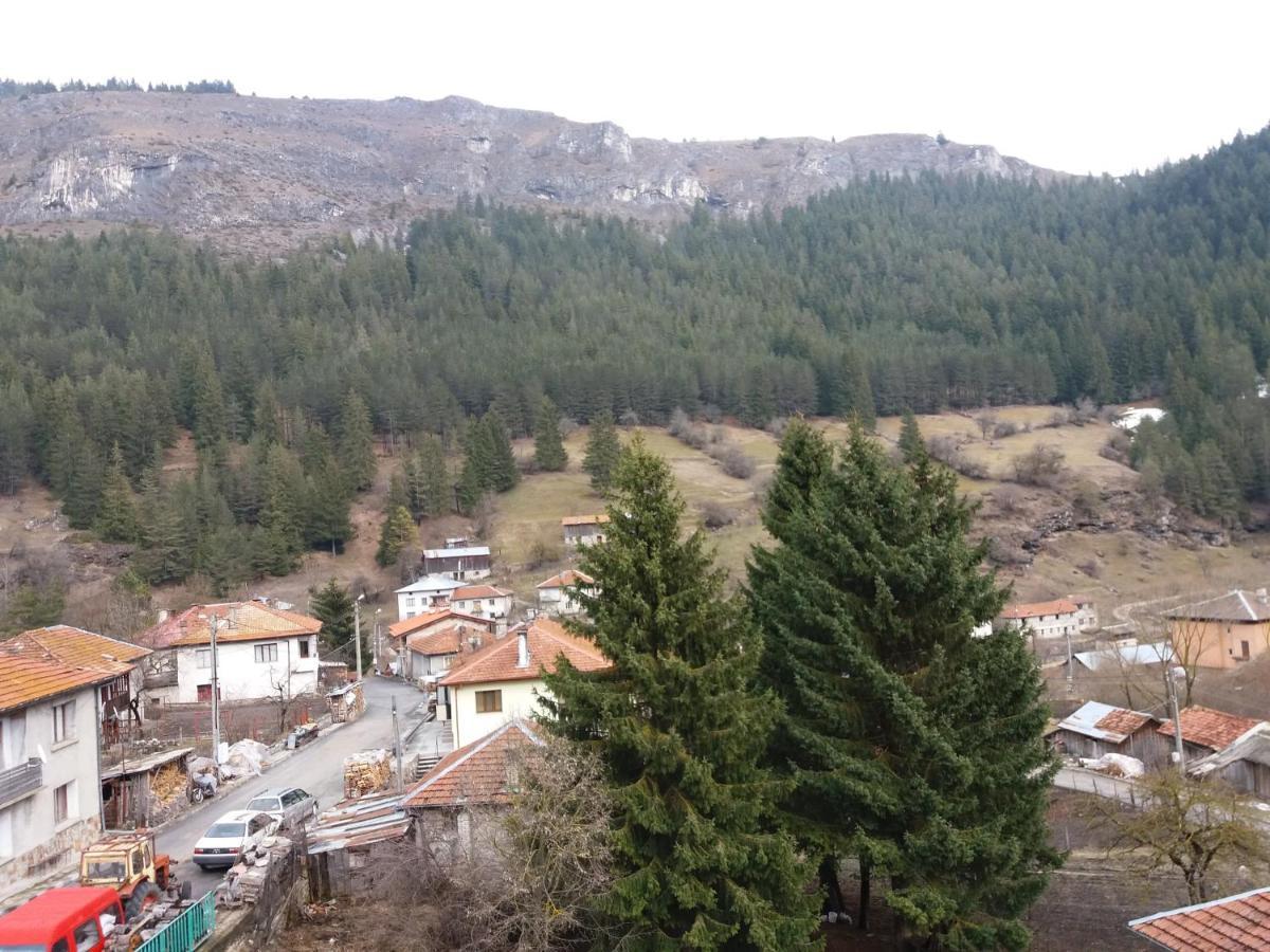 Къща за гости Камината Тріґрад Екстер'єр фото